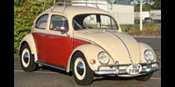 Brashear Beetle