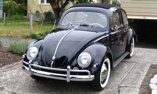 Hanley Beetle
