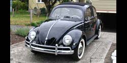 Hanley Beetle