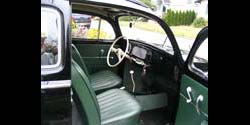 Hanley Beetle